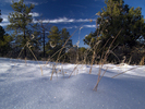 photo thumbnail #7