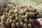 photo thumbnail #10