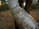 photo thumbnail #8