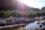 photo thumbnail #12
