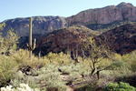 photo thumbnail #13