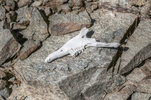 photo thumbnail #7