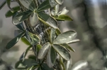 photo thumbnail #8
