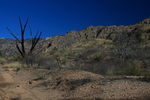 photo thumbnail #10