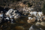photo thumbnail #12
