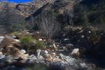 photo thumbnail #13