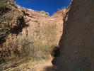 photo thumbnail #6
