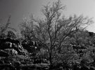 photo thumbnail #13