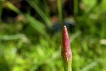 photo thumbnail #15