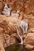 photo thumbnail #1