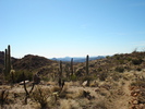 photo thumbnail #7
