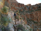 photo thumbnail #4