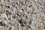 Featured Detail Photo