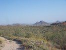 photo thumbnail #3