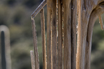 photo thumbnail #3