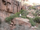 photo thumbnail #13