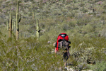 photo thumbnail #1