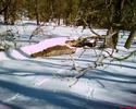 photo thumbnail #13