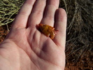 photo thumbnail #3