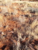 photo thumbnail #5
