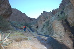 photo thumbnail #2