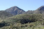 photo thumbnail #11