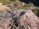 photo thumbnail #4