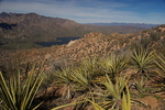 photo thumbnail #9