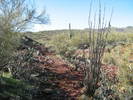 photo thumbnail #2