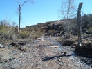 photo thumbnail #2