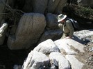 photo thumbnail #6