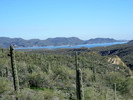 photo thumbnail #3
