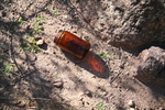 photo thumbnail #14
