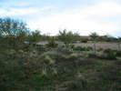 recent photo