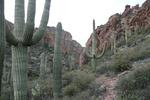 photo thumbnail #6