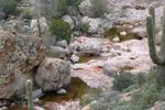 photo thumbnail #8