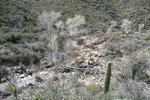 photo thumbnail #15