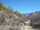 photo thumbnail #1