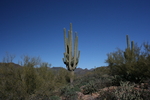 photo thumbnail #1