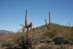 photo thumbnail #2