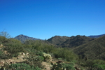 photo thumbnail #3