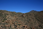 photo thumbnail #7