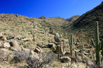 photo thumbnail #8