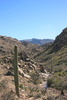 photo thumbnail #9