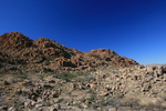 photo thumbnail #12