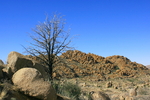 photo thumbnail #14
