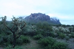 photo thumbnail #1