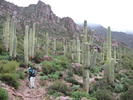 photo thumbnail #3