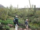 photo thumbnail #5