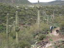 photo thumbnail #3